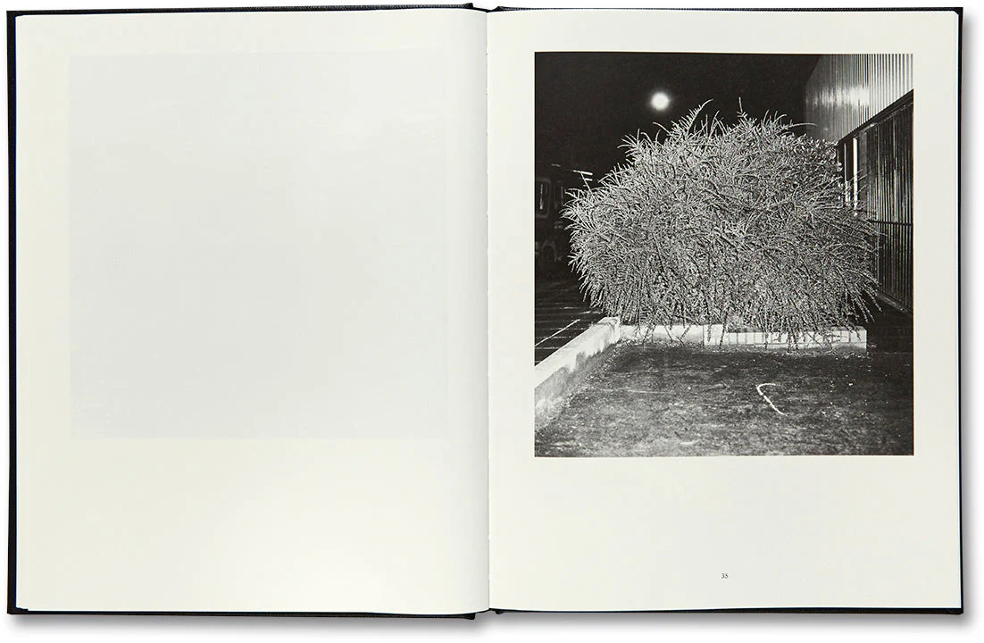 A Glass Darkly - Image 9