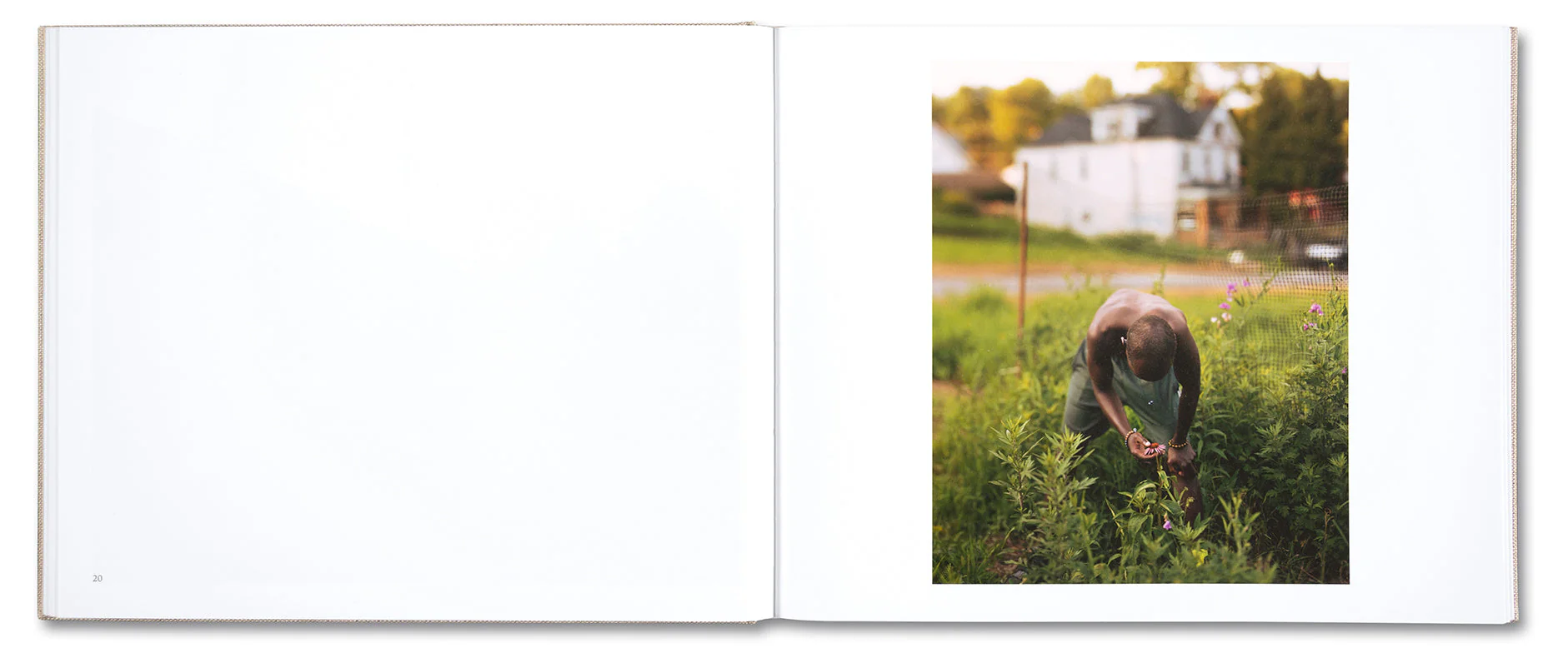A Pound of Pictures - Image 13
