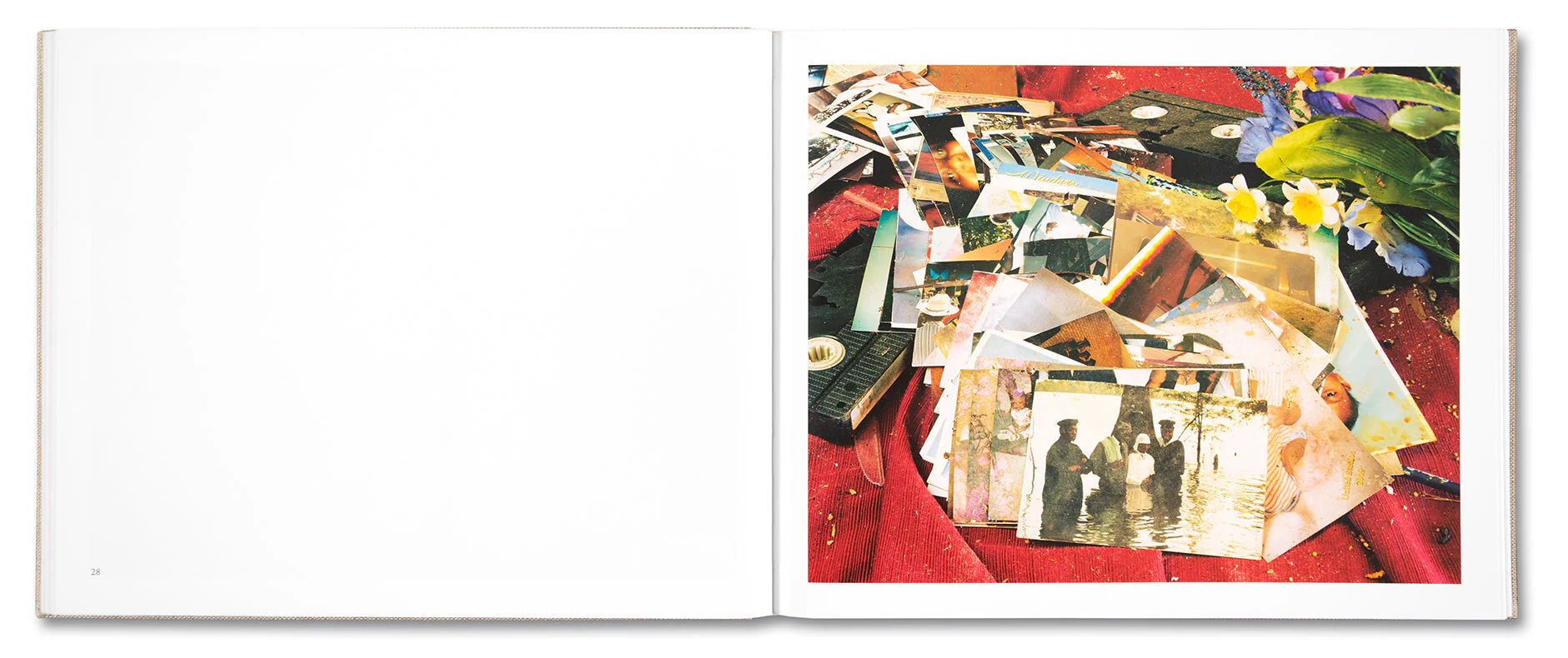 A Pound of Pictures - Image 17