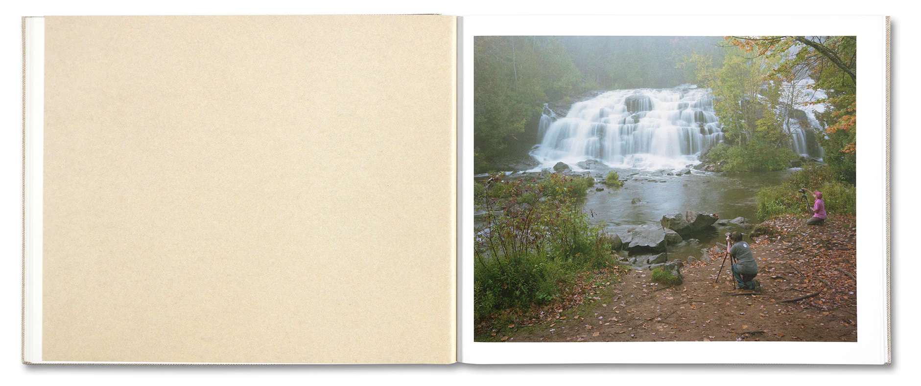 A Pound of Pictures - Image 18