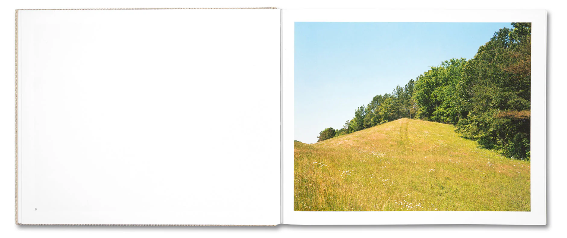 A Pound of Pictures - Image 8