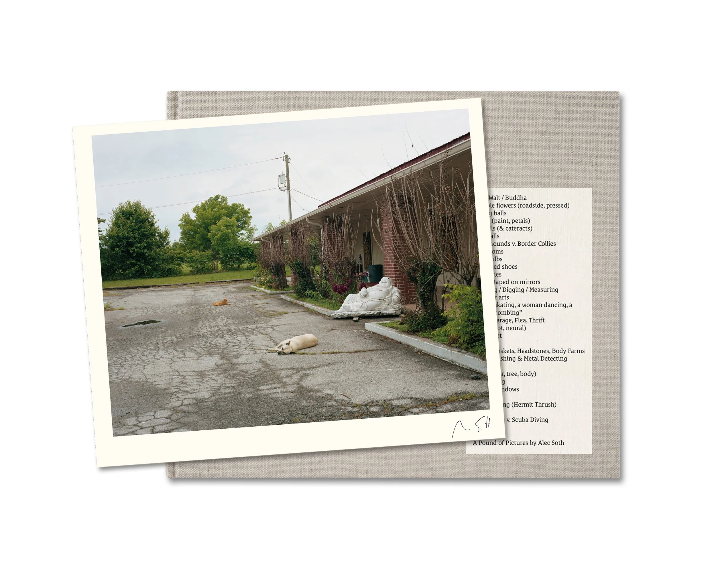 A Pound of Pictures Special Edition - Image 3