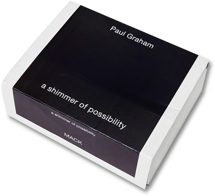 a shimmer of possibility - Image 4