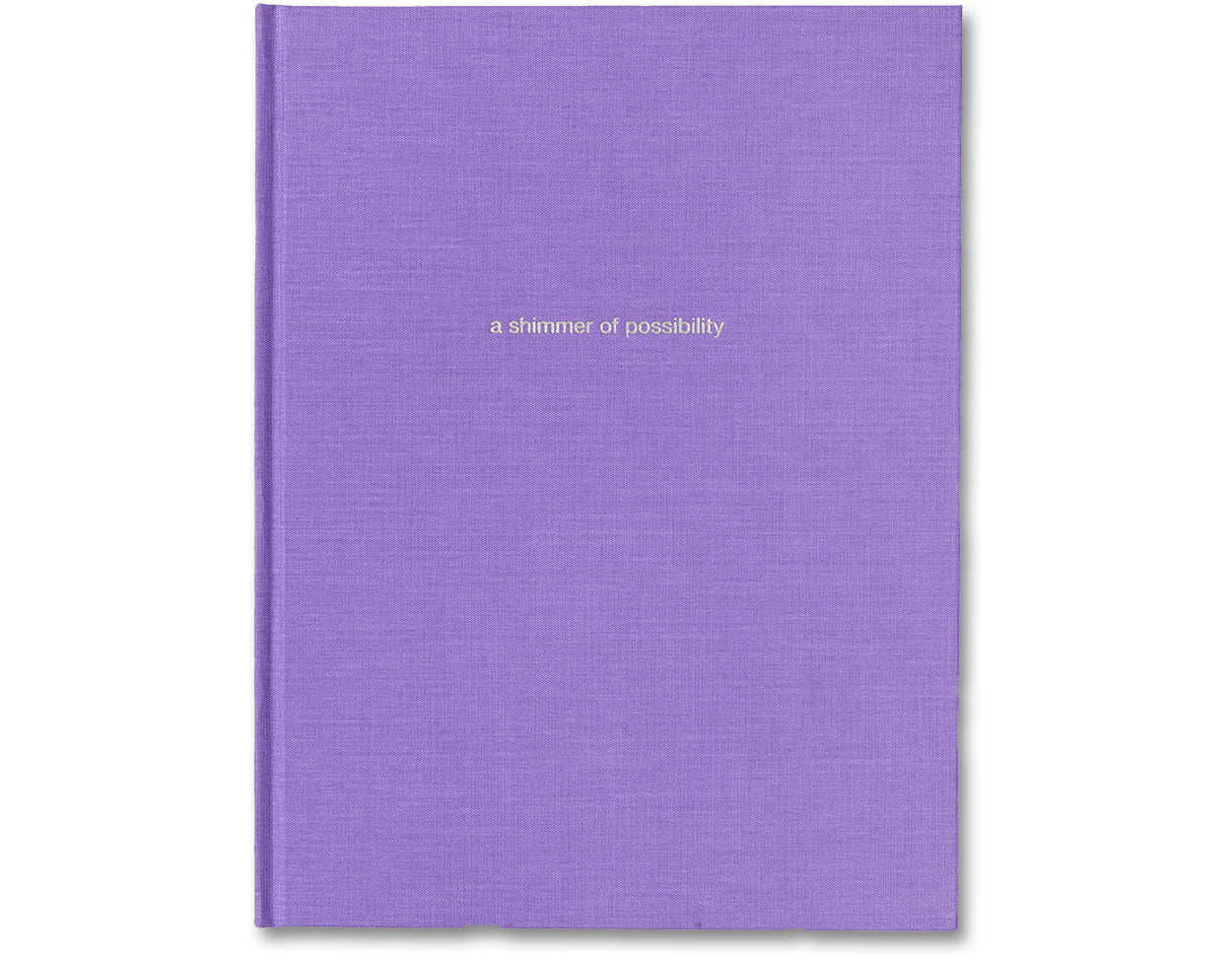 a shimmer of possibility - Image 5