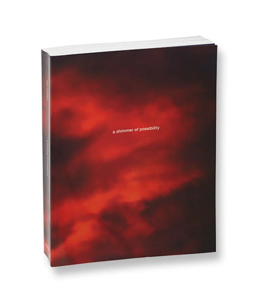 a shimmer of possibility (paperback)