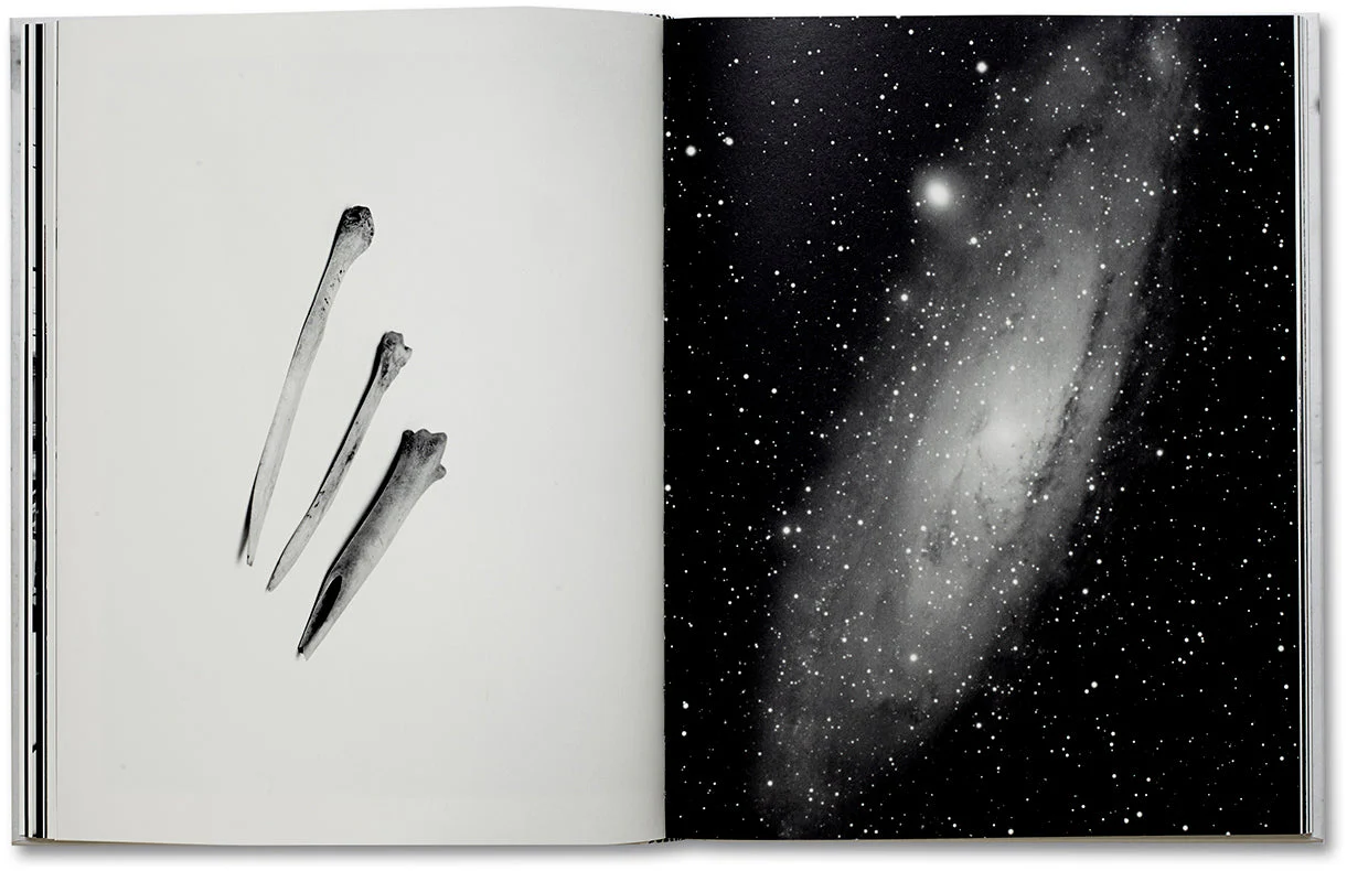 Almost There - Image 6