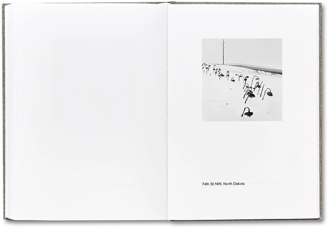 American Winter - Image 36