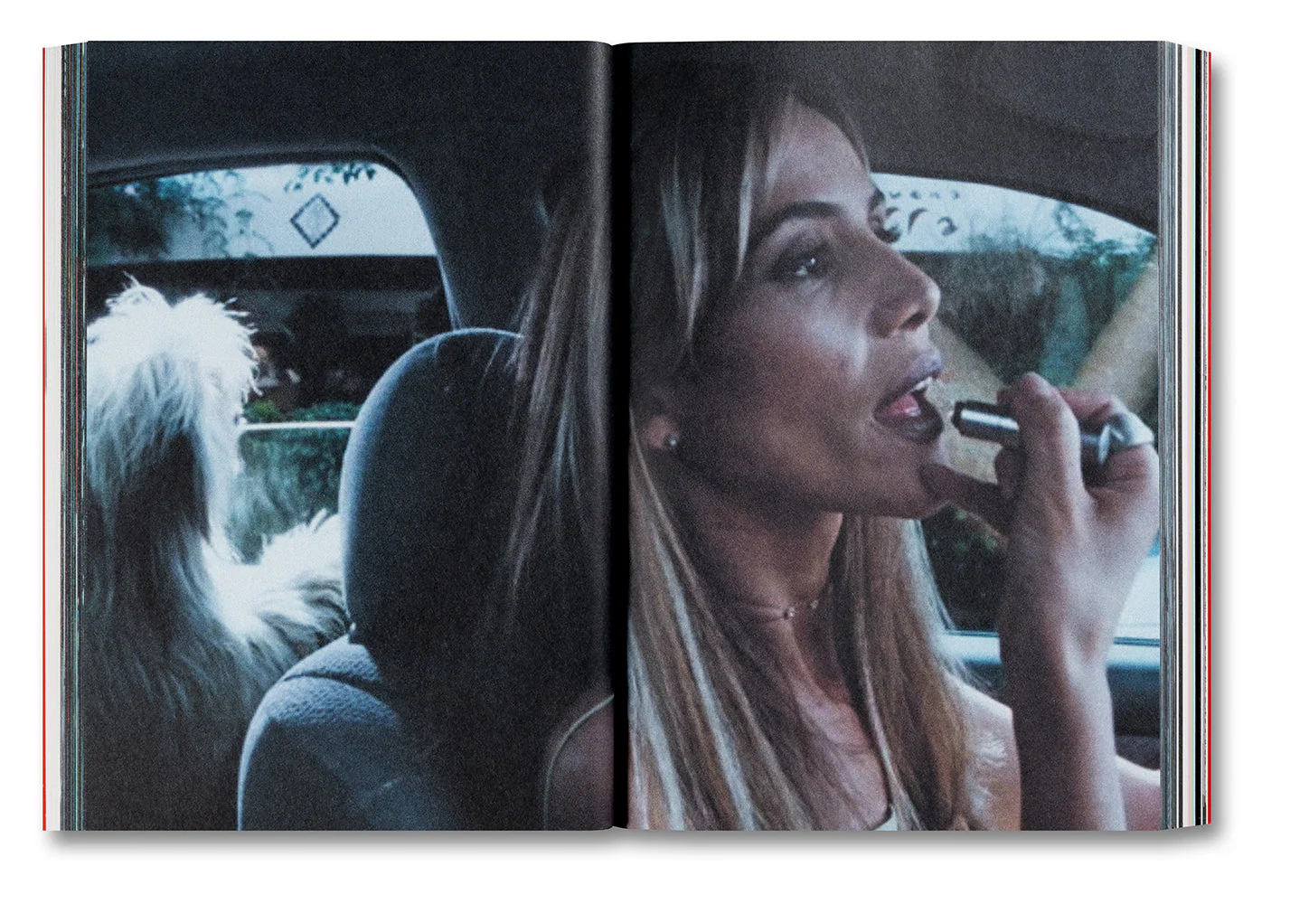 Amores Perros - Image 14