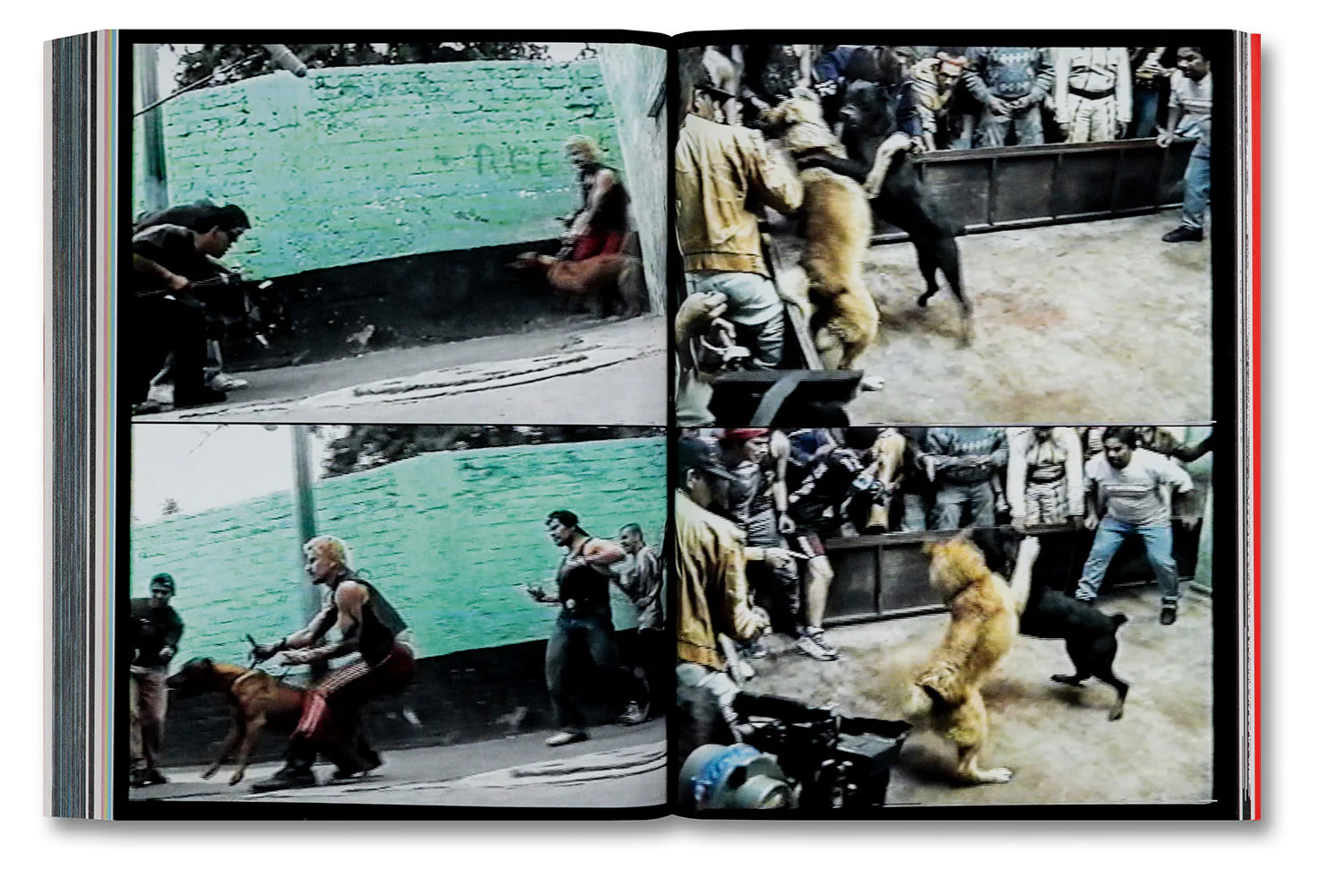 Amores Perros - Image 40