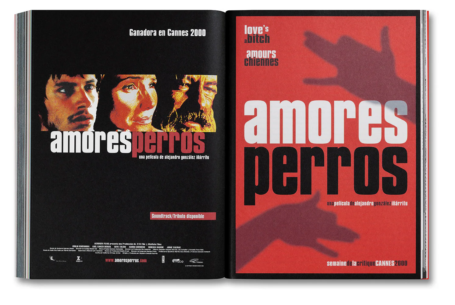 Amores Perros - Image 44