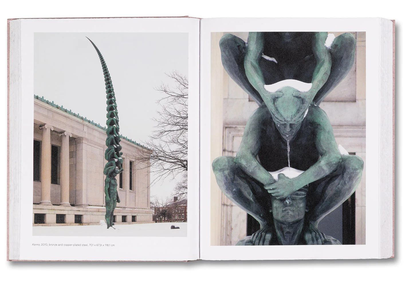 Anatomy - Image 14