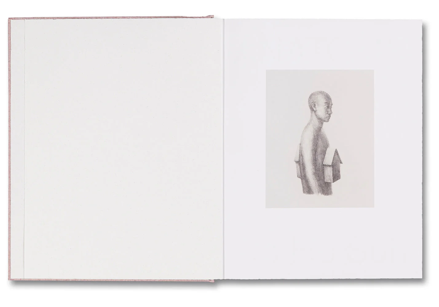 Anatomy - Image 2