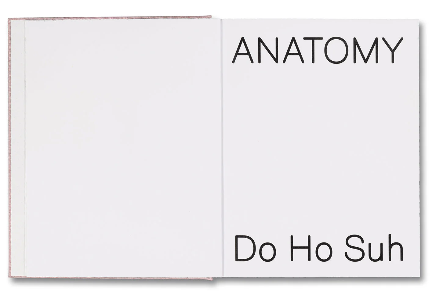 Anatomy - Image 3