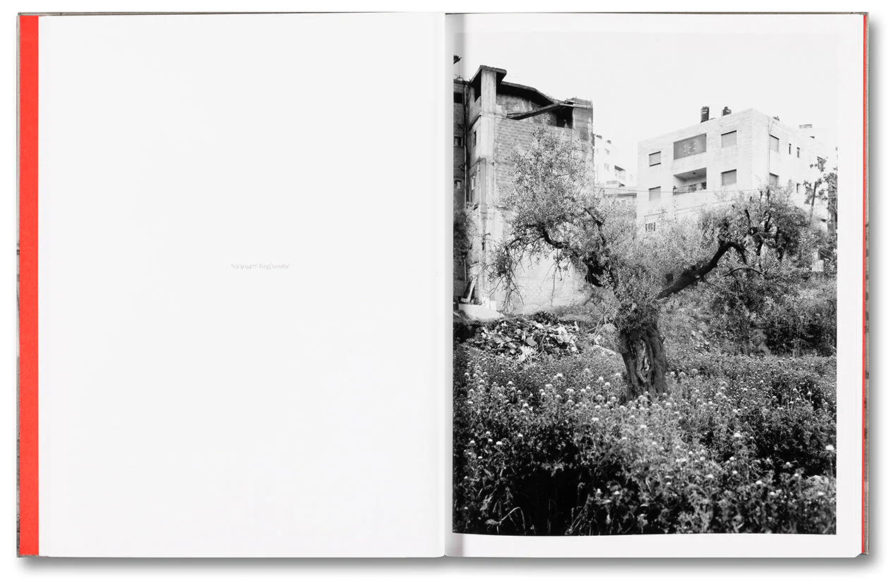 Anchor in the Landscape - Image 10