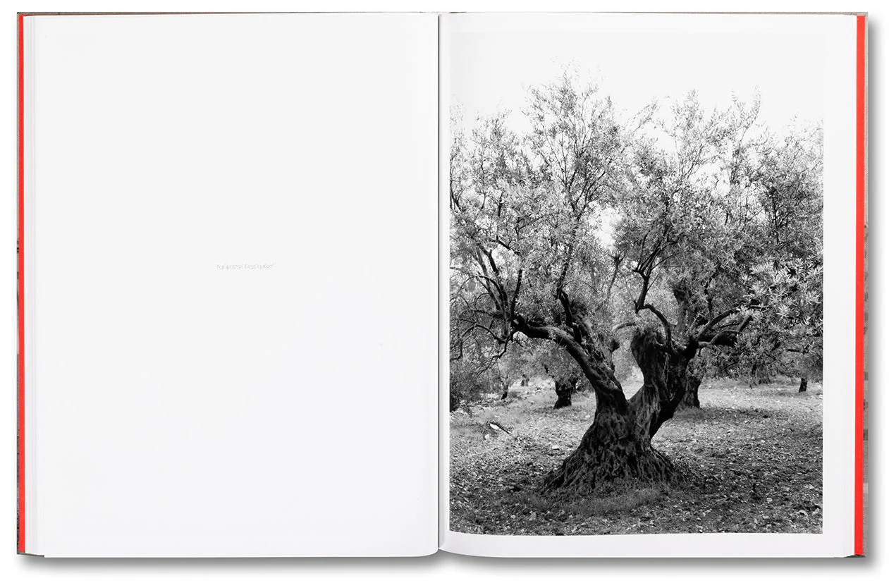 Anchor in the Landscape - Image 11