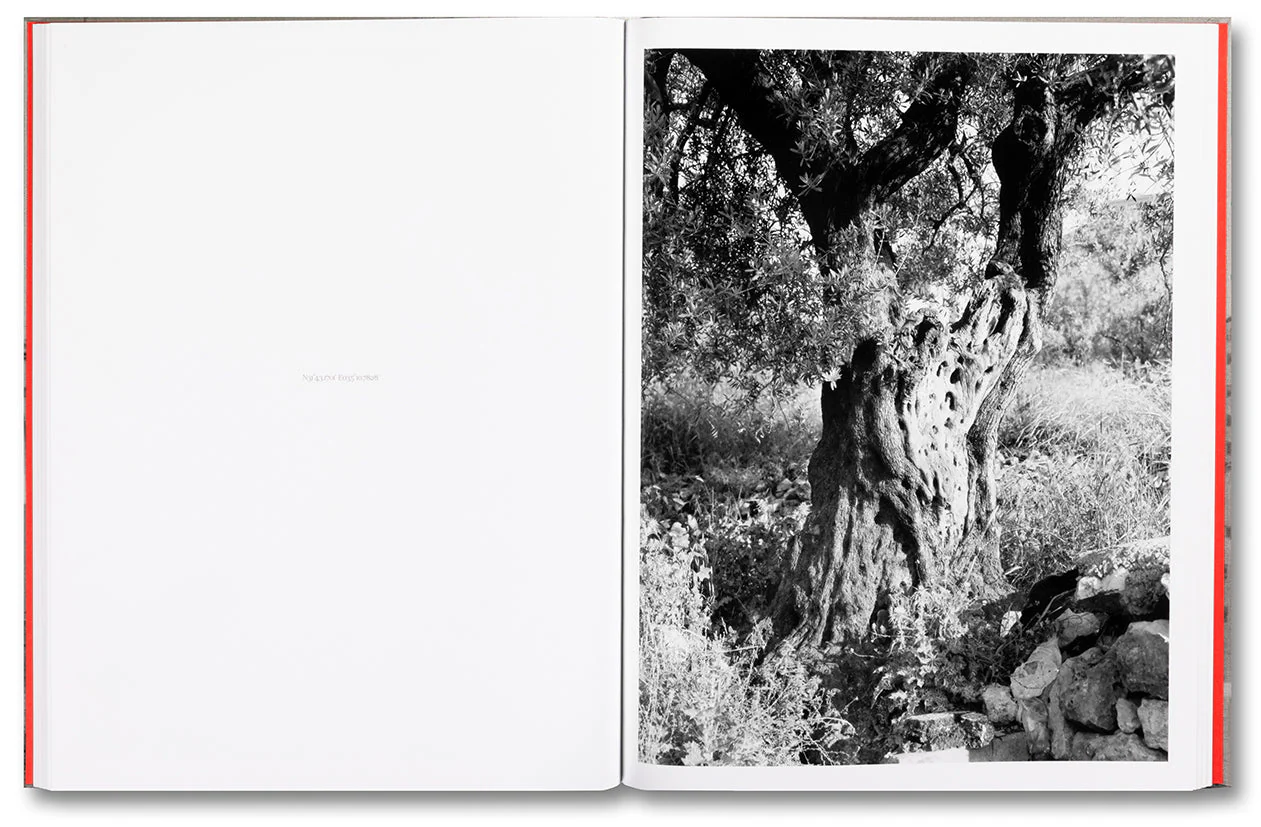 Anchor in the Landscape - Image 12