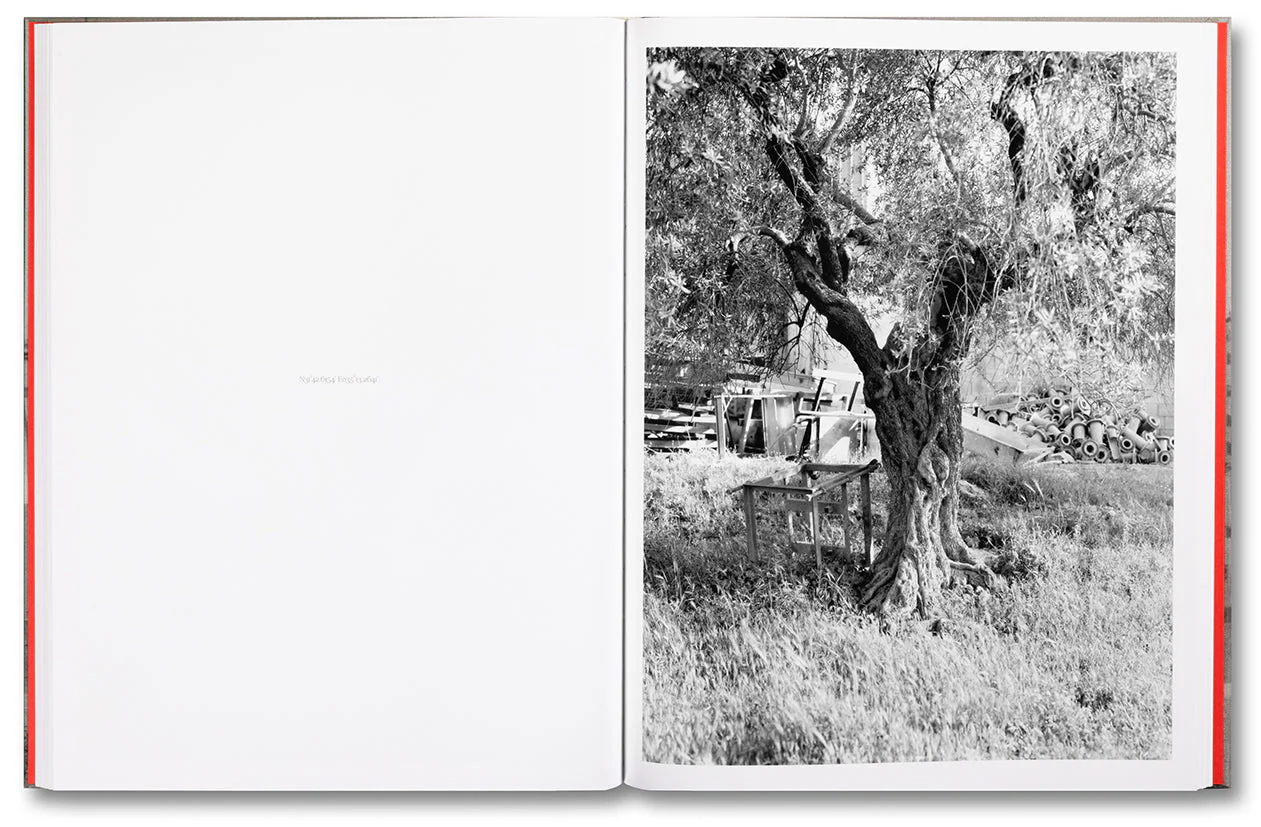 Anchor in the Landscape - Image 13
