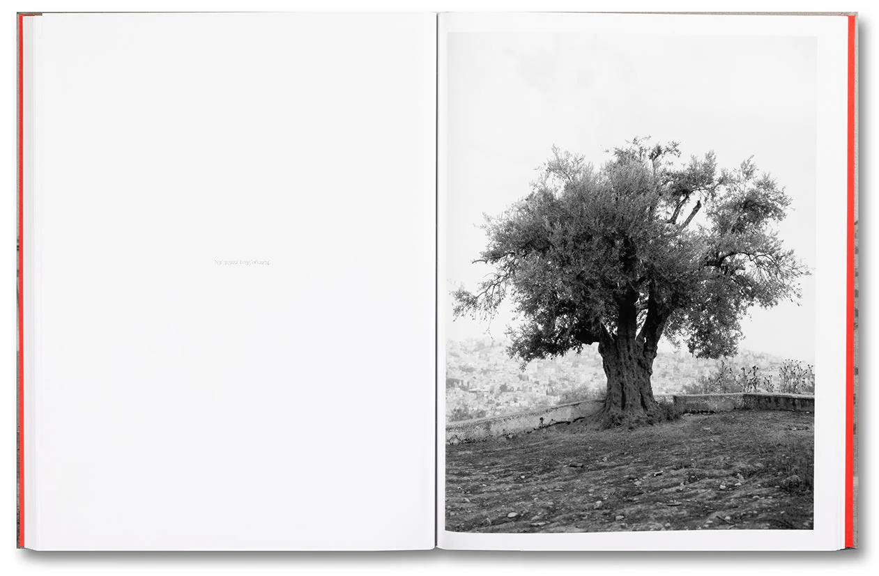 Anchor in the Landscape - Image 14
