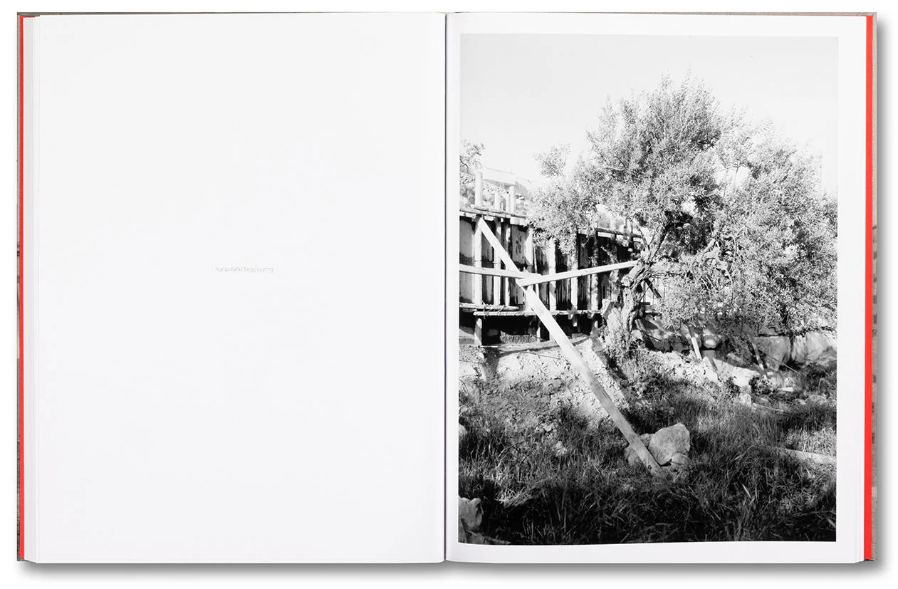 Anchor in the Landscape - Image 15