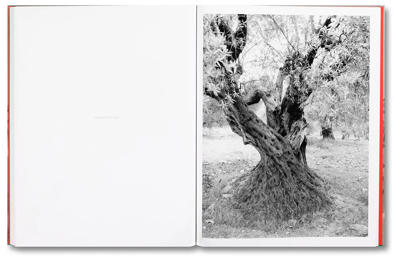 Anchor in the Landscape - Image 17