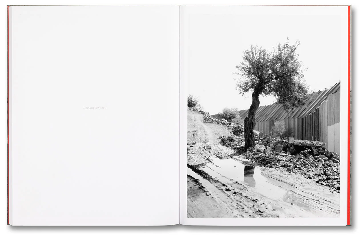 Anchor in the Landscape - Image 18