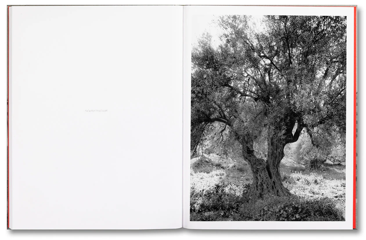 Anchor in the Landscape - Image 19
