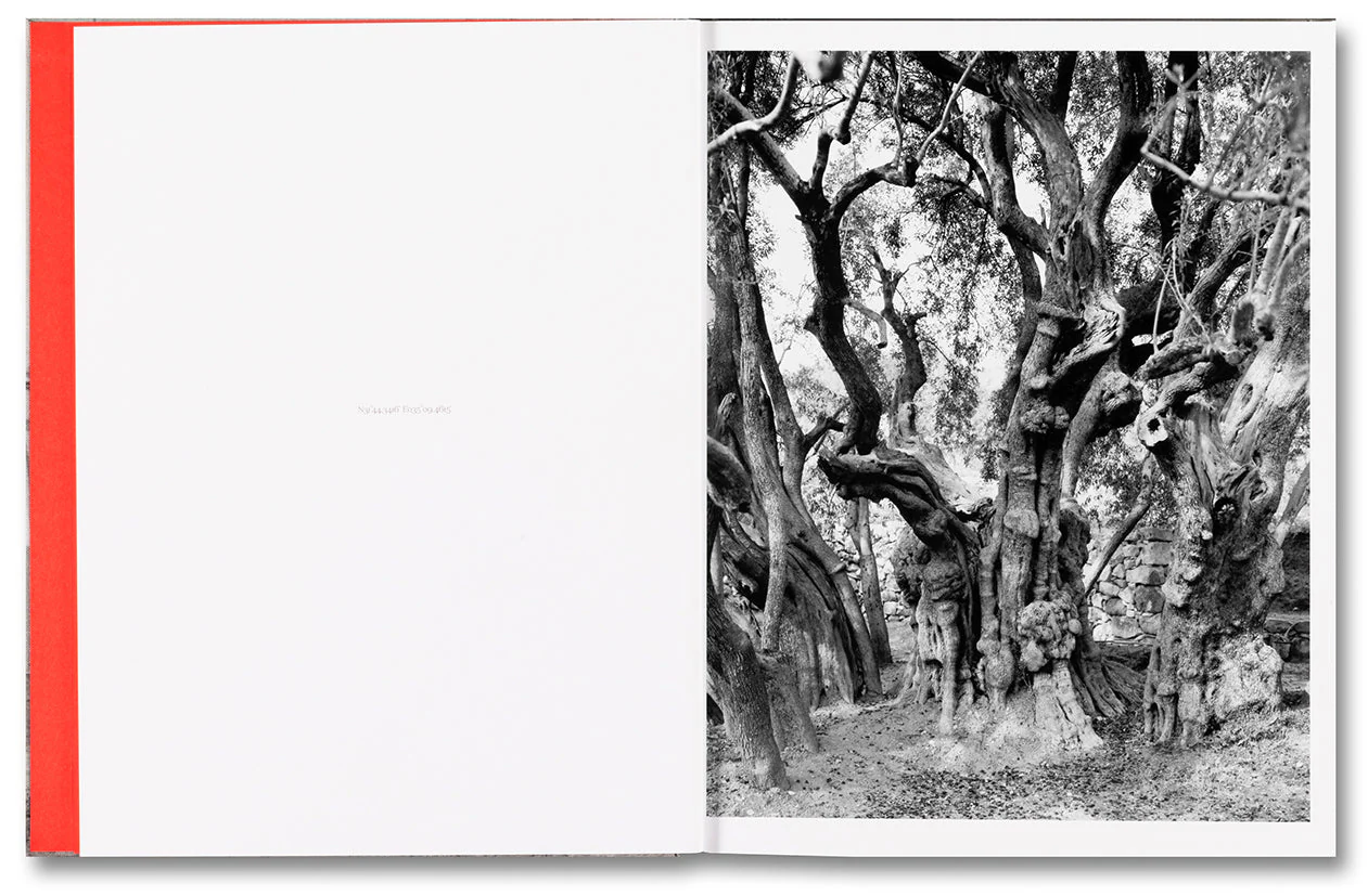 Anchor in the Landscape - Image 4