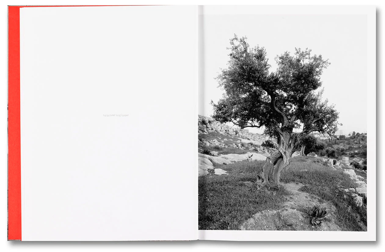 Anchor in the Landscape - Image 7