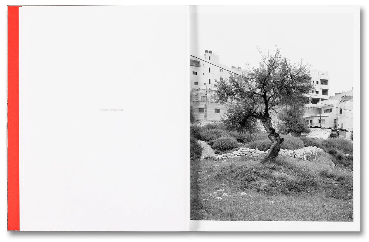 Anchor in the Landscape - Image 8