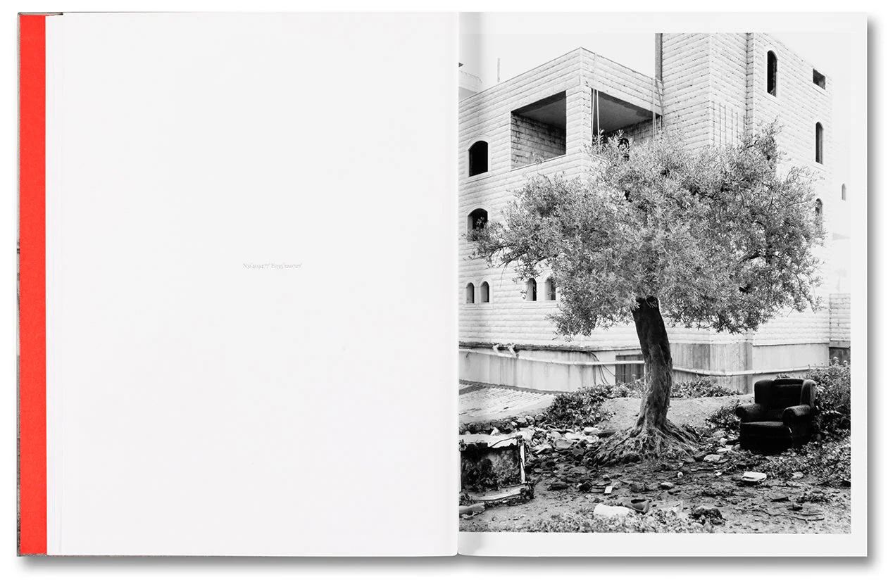 Anchor in the Landscape - Image 9