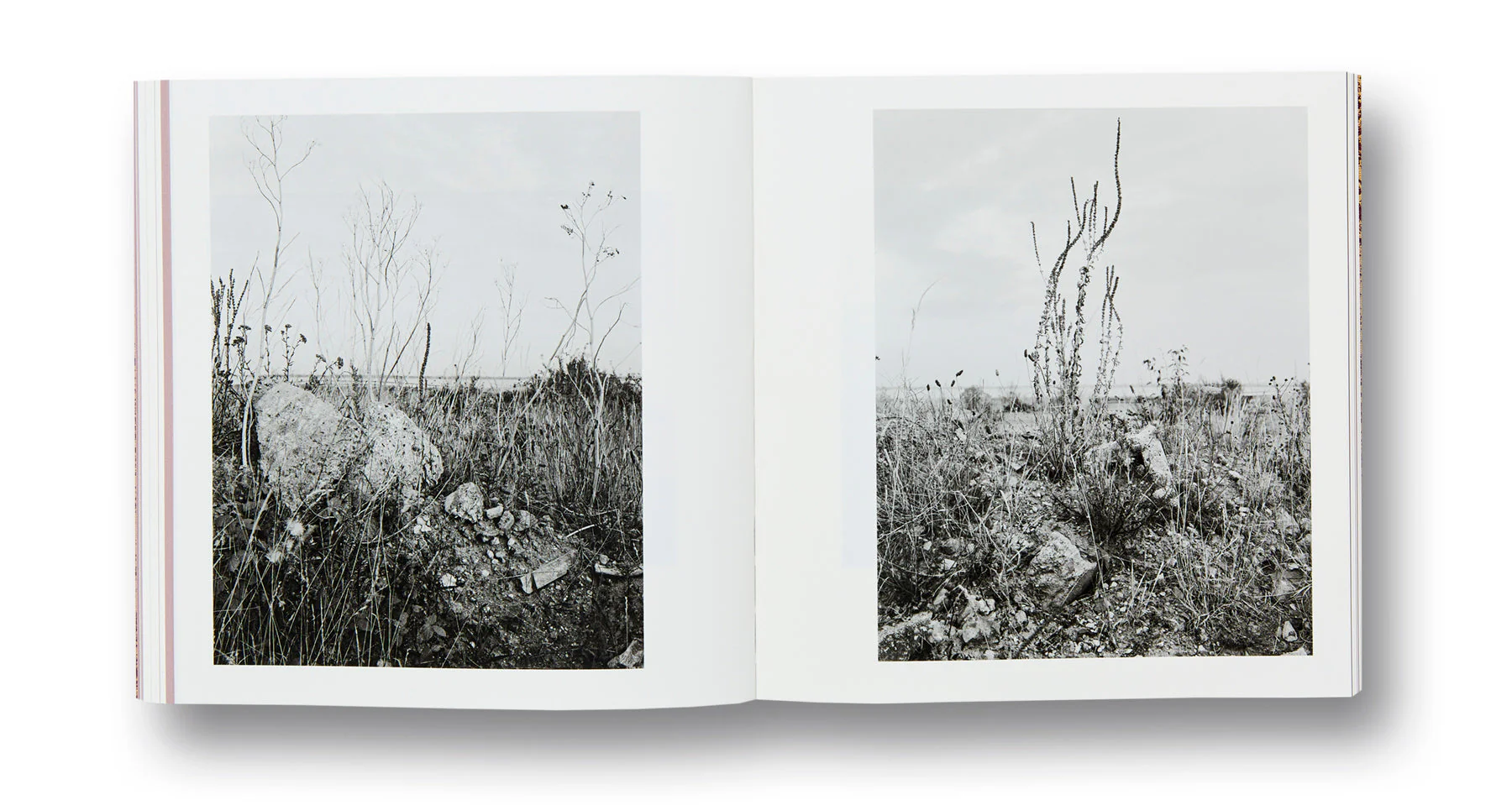 And Time Folds - Image 14