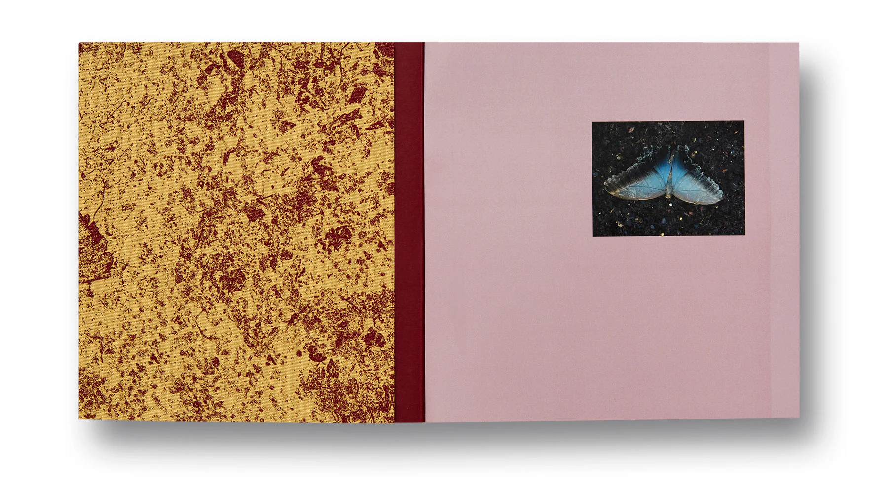 And Time Folds - Image 2