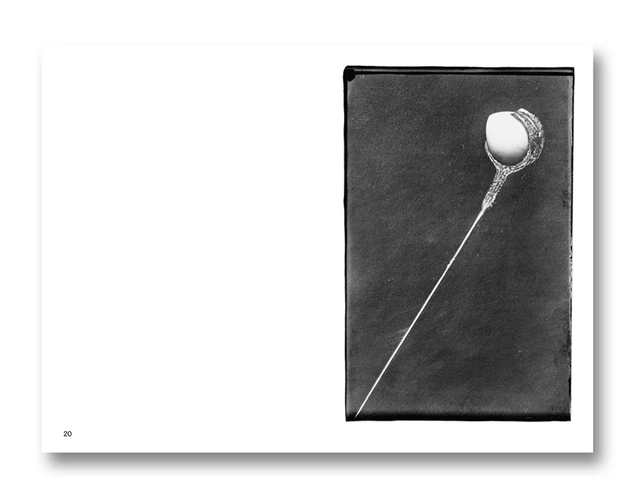 Anonymous Objects: Inscrutable Photographs and the Unknown - Image 5