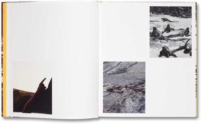 Archipelago - Image 5