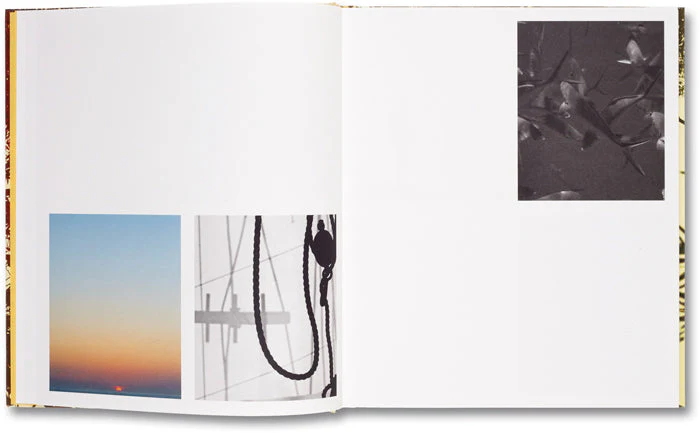 Archipelago - Image 7