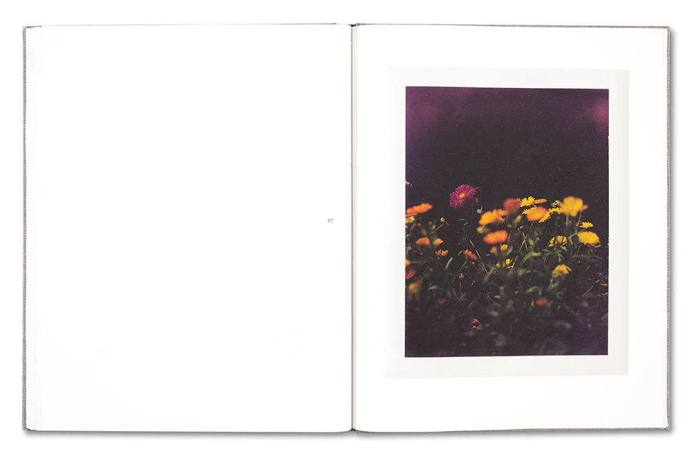 August - Image 23