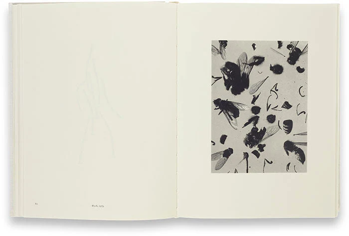 Beautiful Frames - Image 6