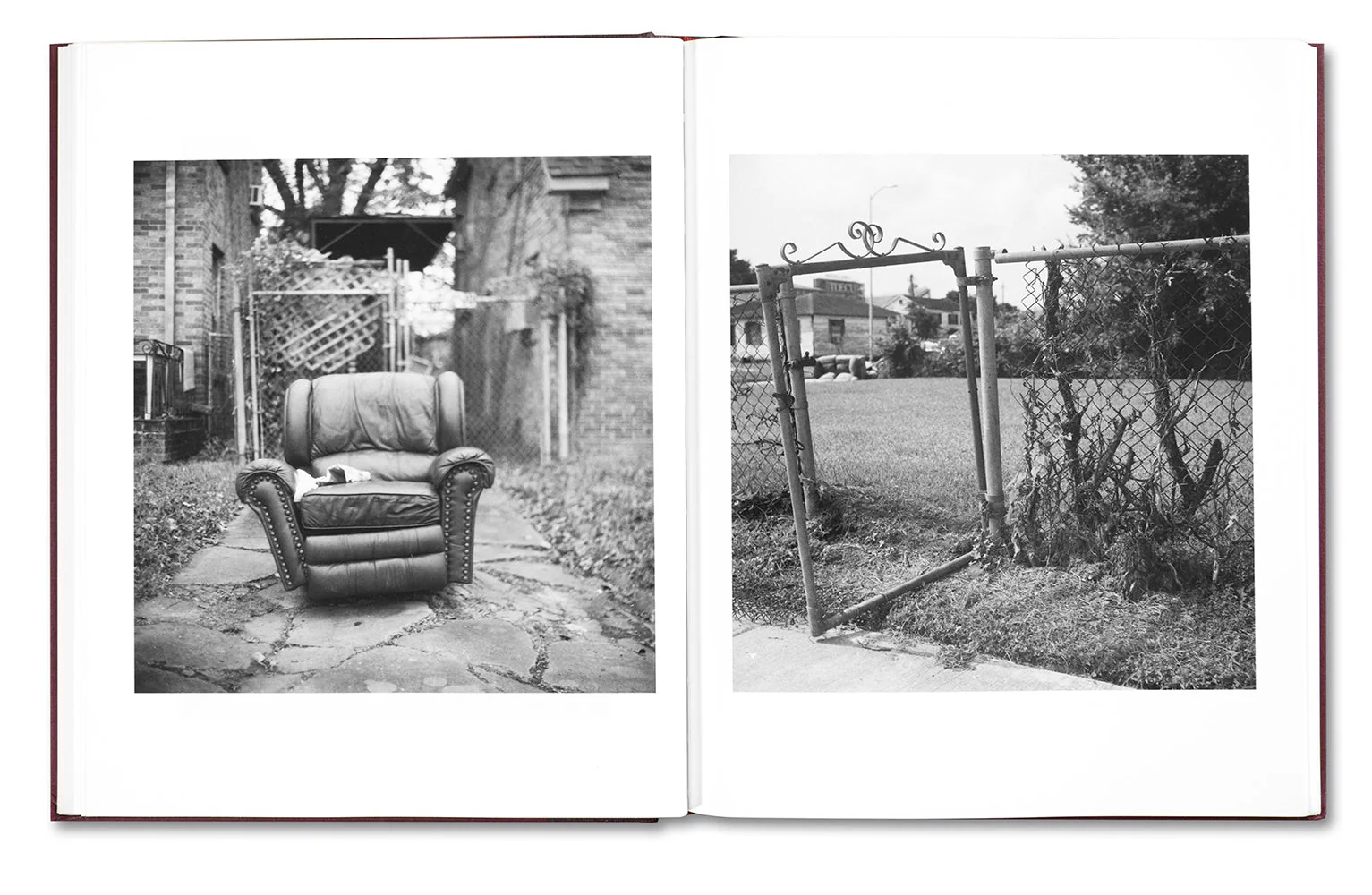 Beautiful, Still. - Image 15