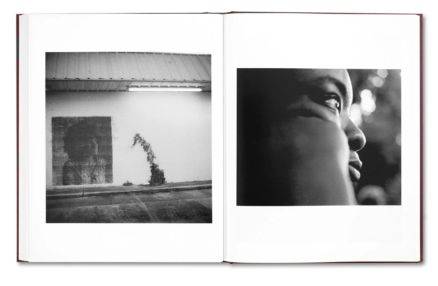 Beautiful, Still. - Image 23