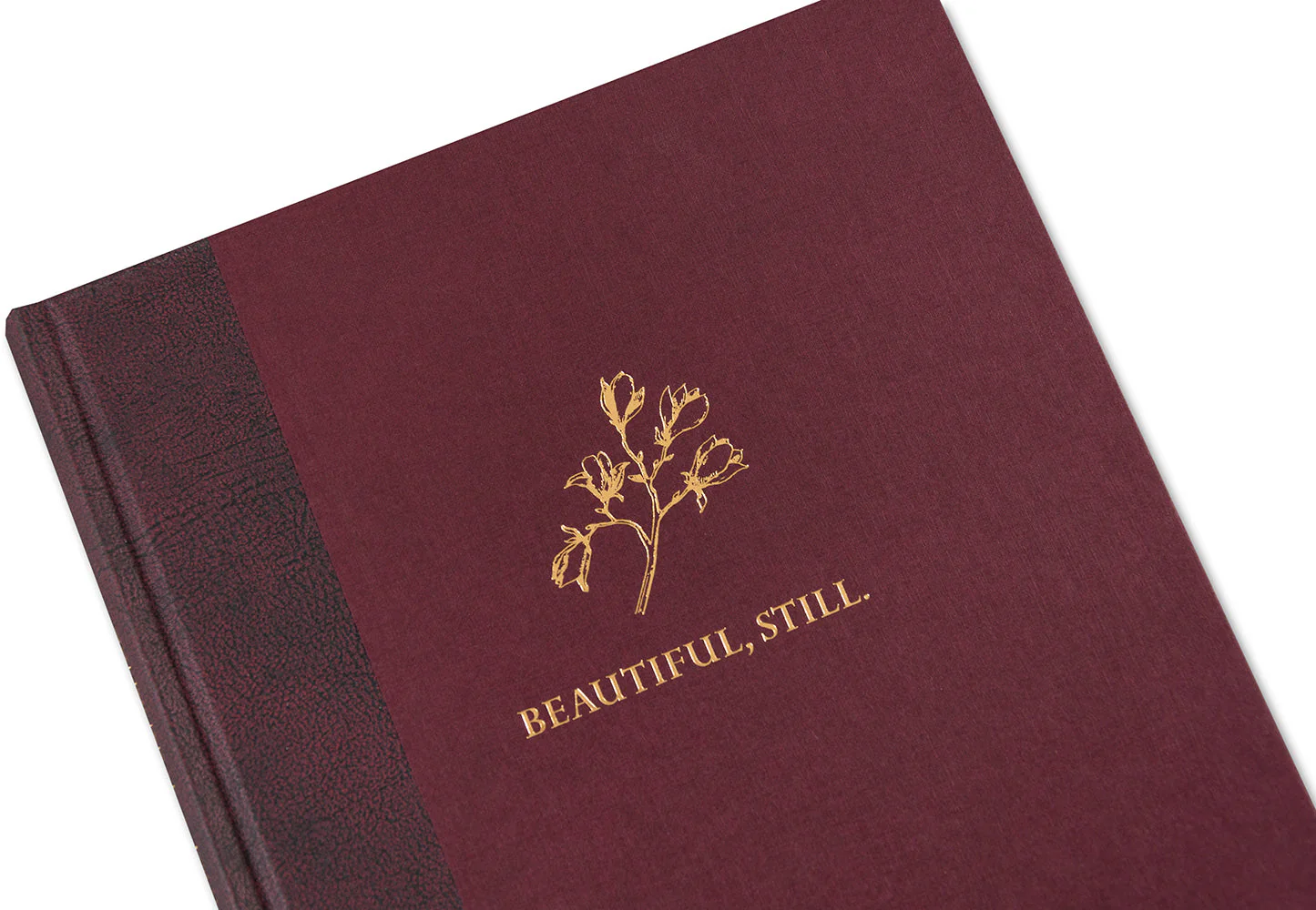 Beautiful, Still. - Image 38