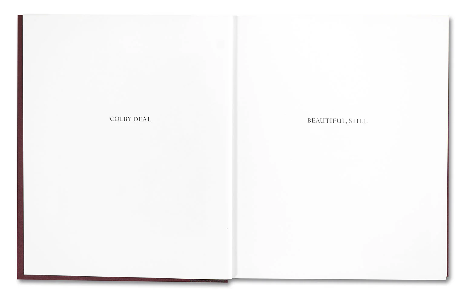 Beautiful, Still. - Image 4