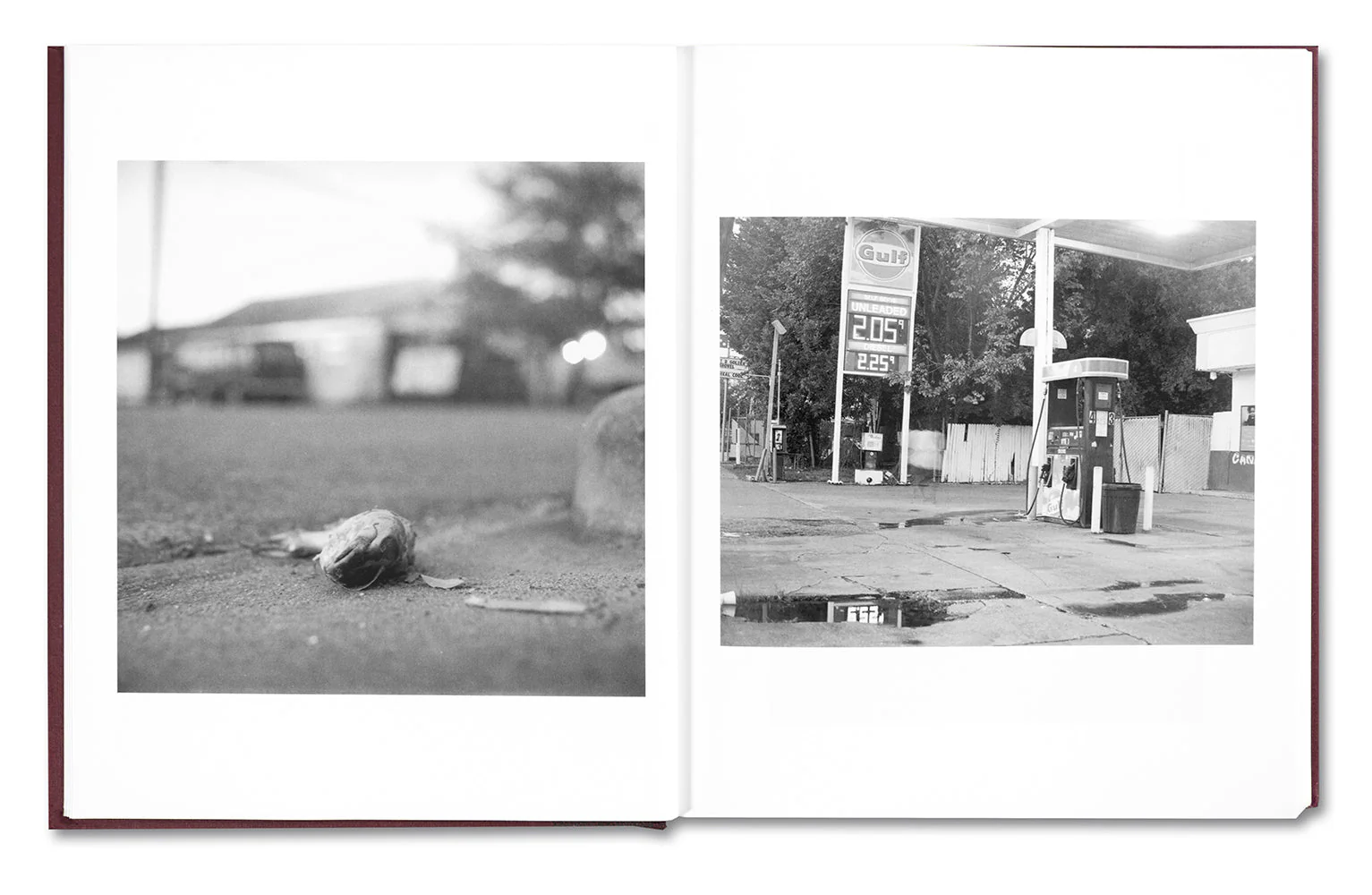 Beautiful, Still. - Image 7