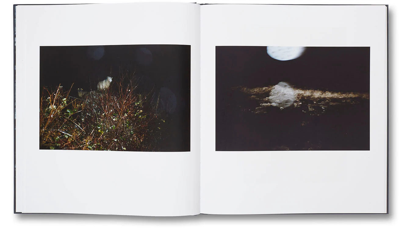 Beyond Maps and Atlases - Image 8