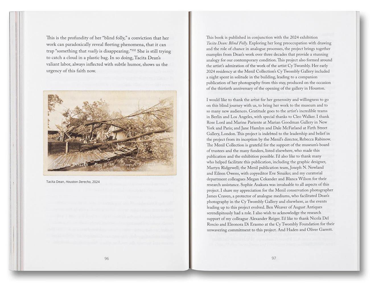Blind Folly or How Tacita Dean Draws - Image 19