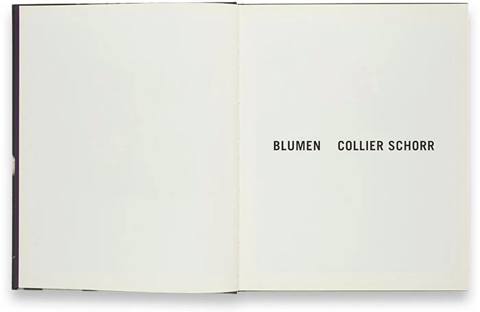 Blumen - Image 2