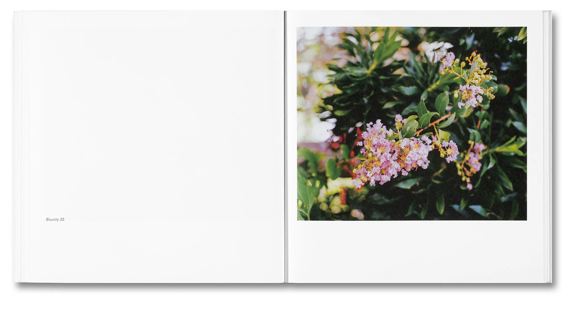 Bounty - Image 17