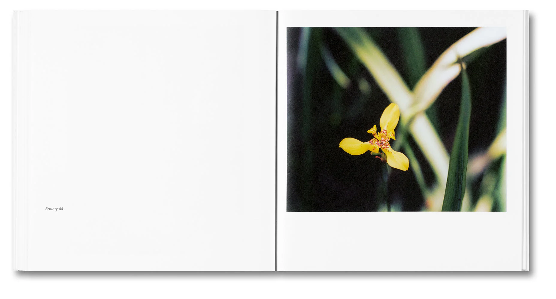Bounty - Image 22