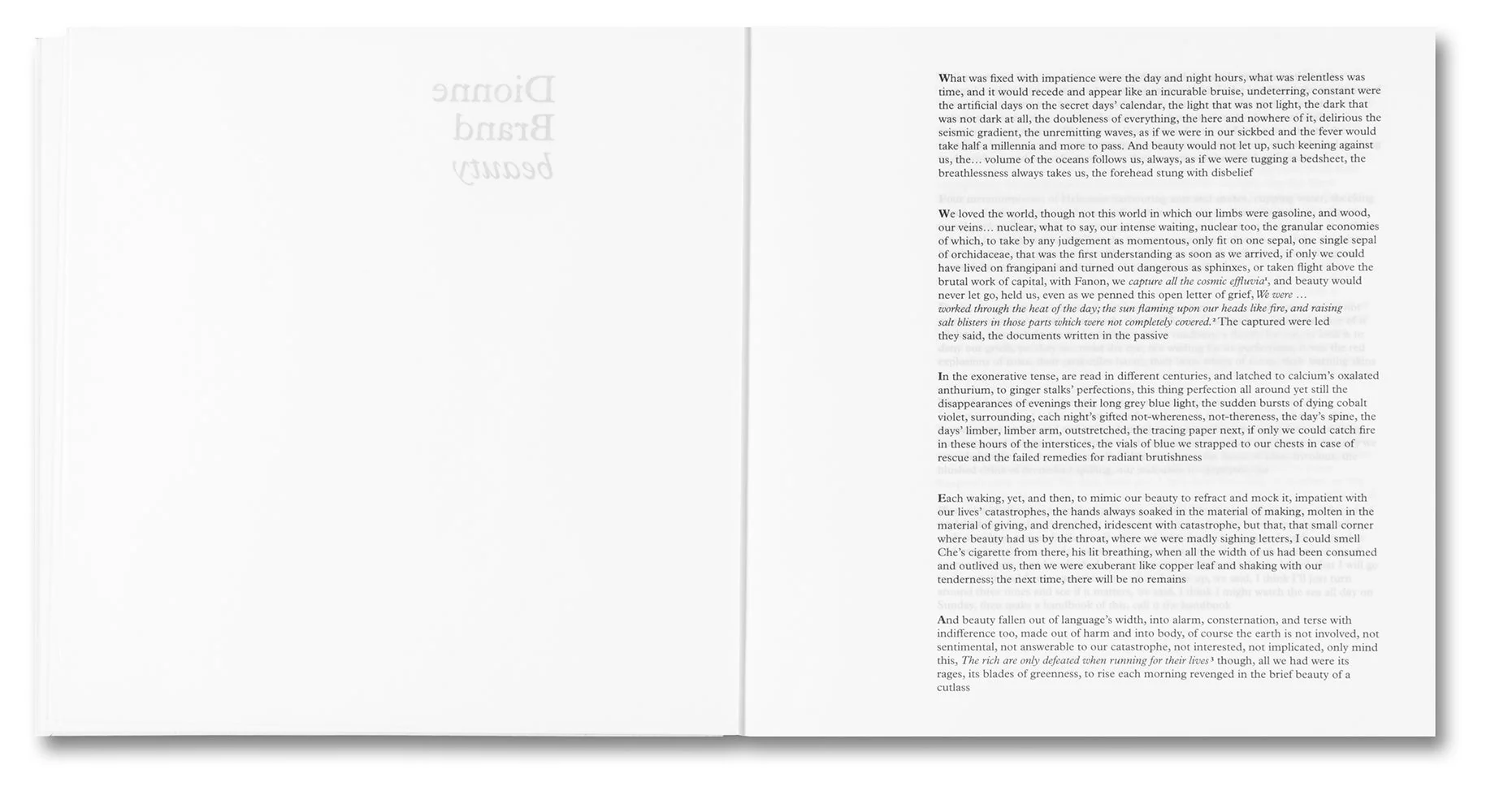 Bounty - Image 5