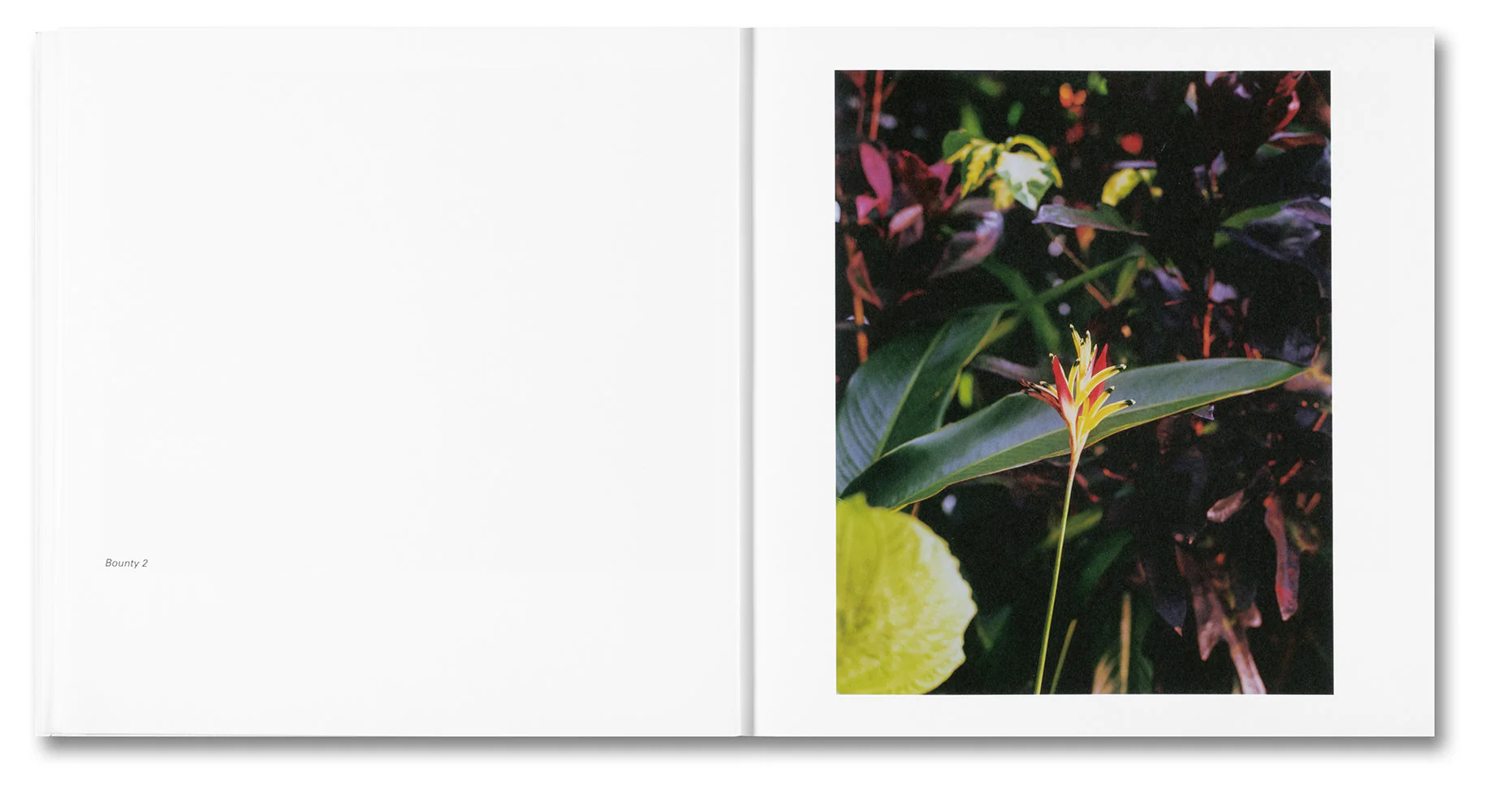 Bounty - Image 7
