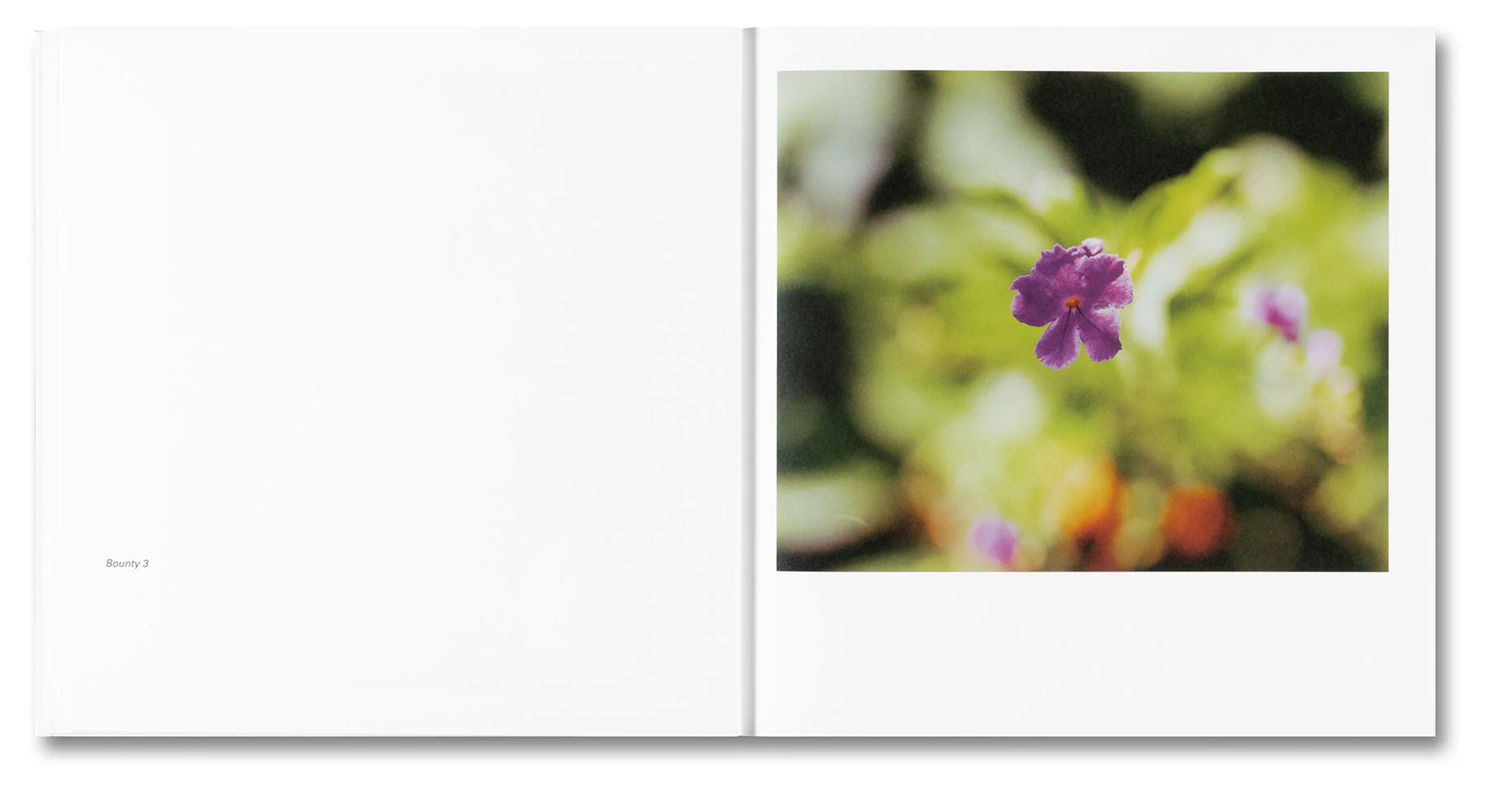 Bounty - Image 8